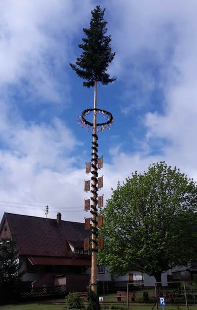 Maibaum-Aufstellung an der Festhalle - entfällt