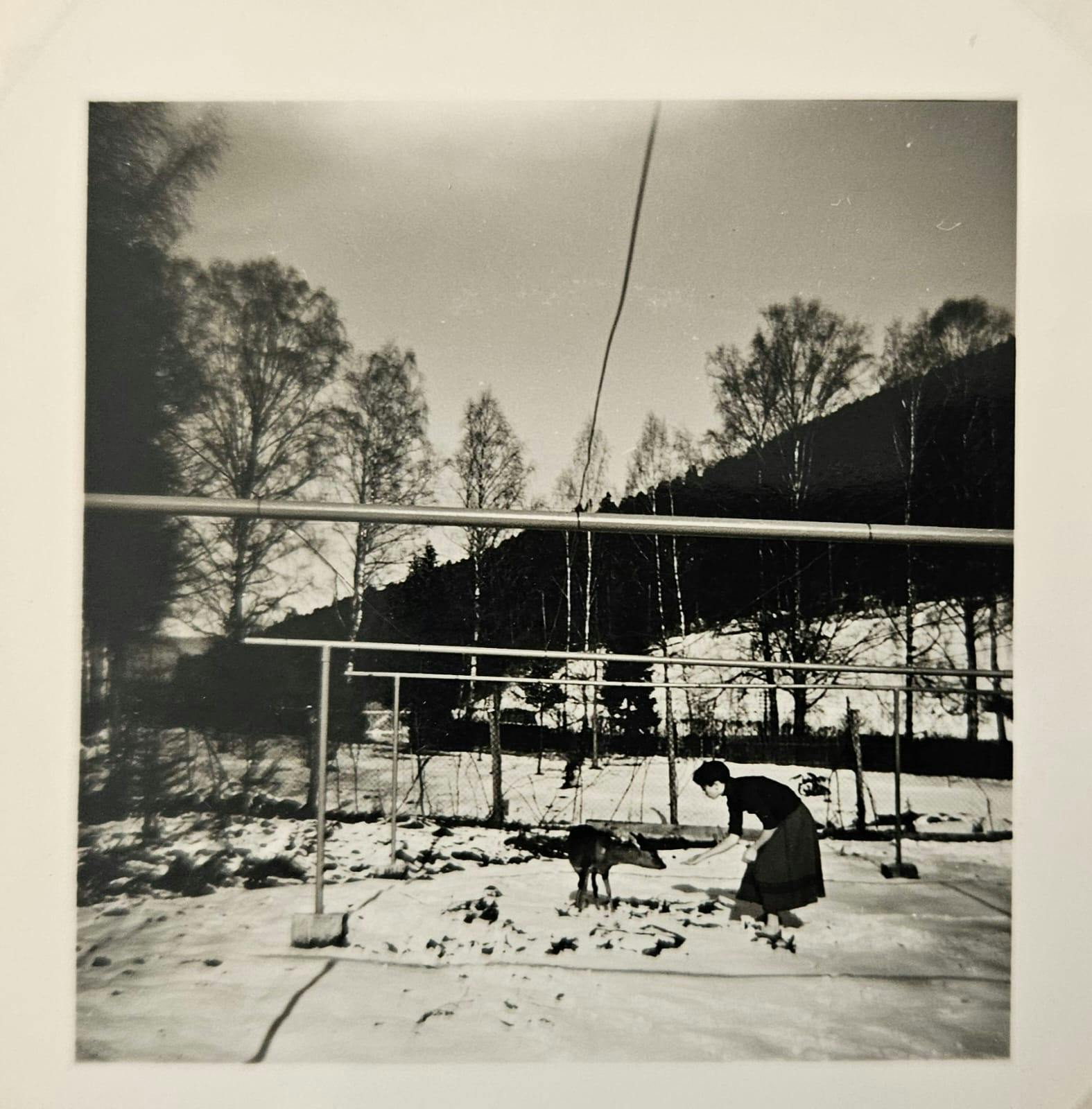 Zeitzeuegn - historische Fotos